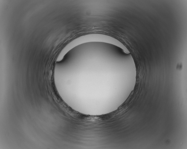 X0000113130427200910021421