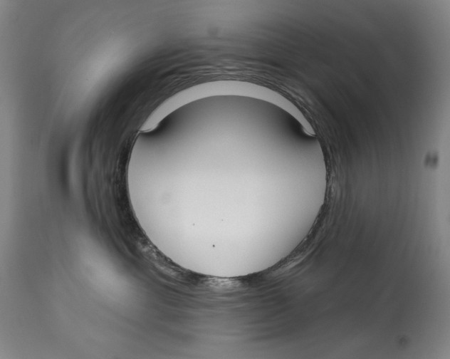 X0000113130429200910021421