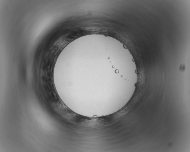 X0000113130430200910021420