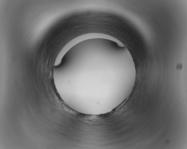 X0000113130431200910021420