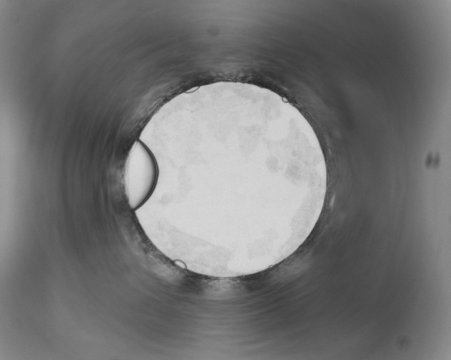 X0000113130432200910021420