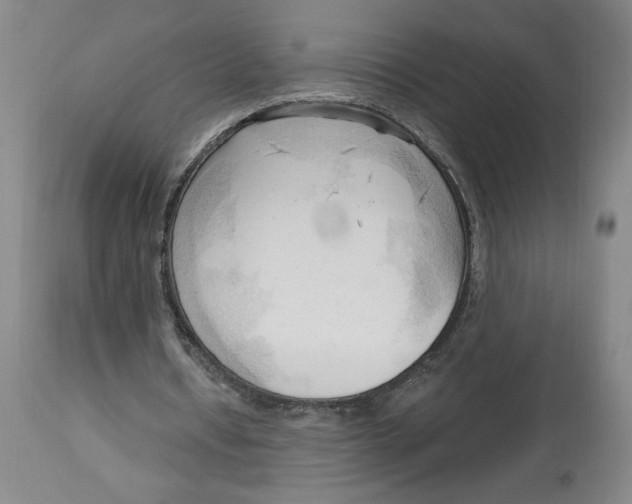 X0000113130434200910021419