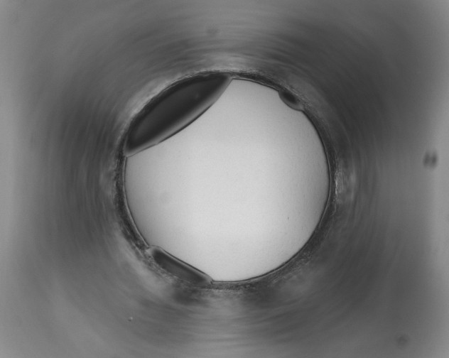 X0000113130436200910021419