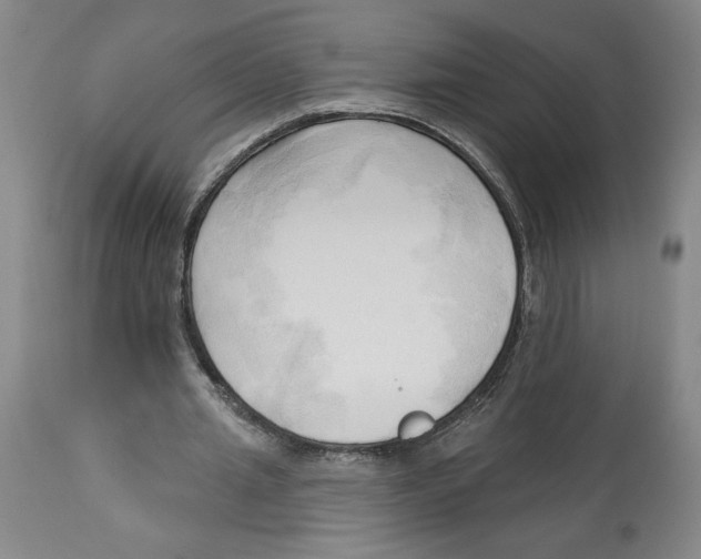 X0000113130437200910021419