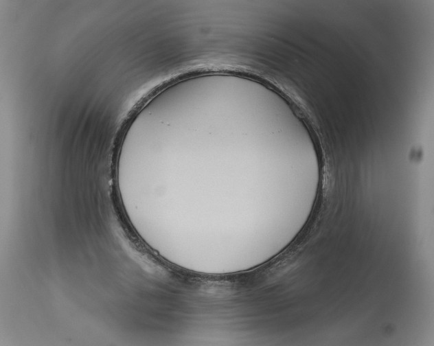 X0000113130438200910021419