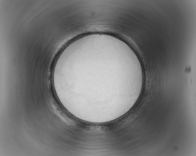 X0000113130439200910021419