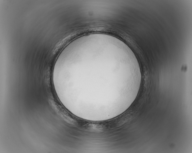 X0000113130442200910021419