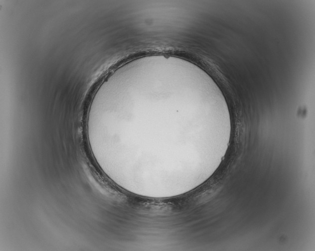 X0000113130443200910021419