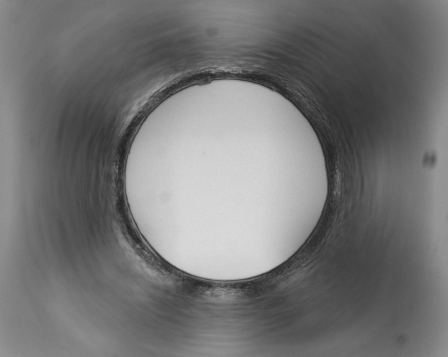 X0000113130444200910021420