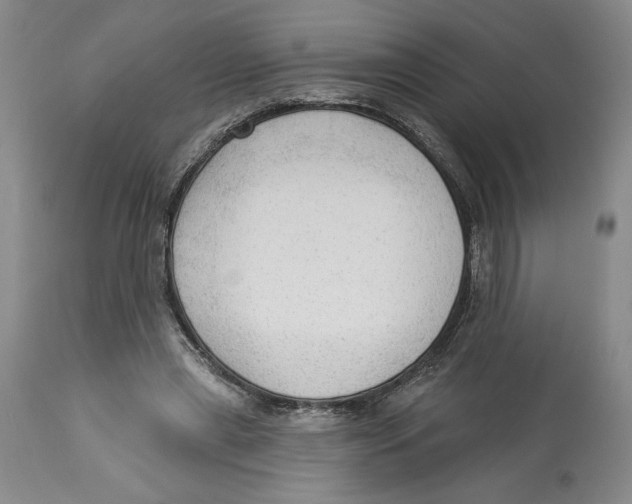 X0000113130445200910021420