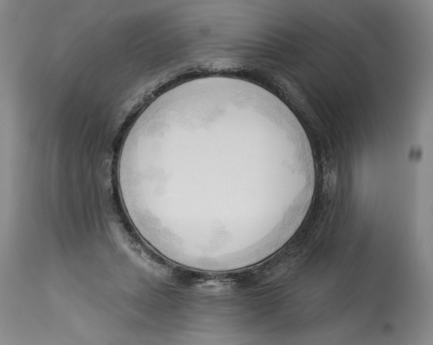 X0000113130447200910021420