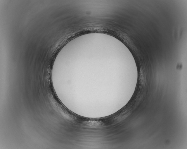 X0000113130449200910021420