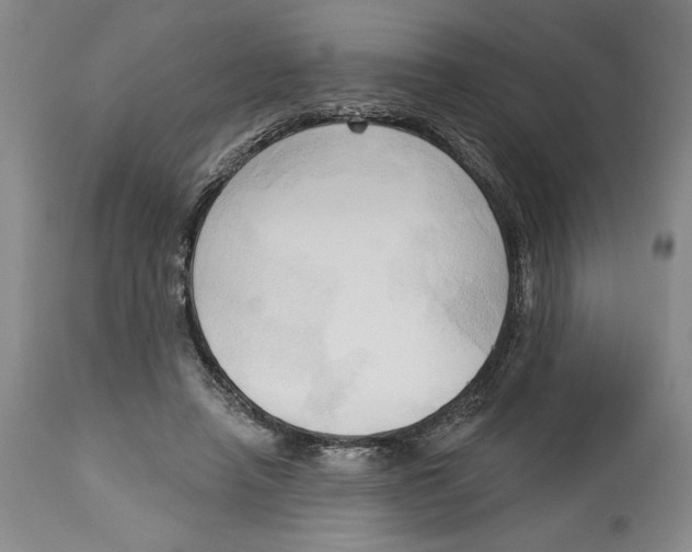 X0000113130450200910021420