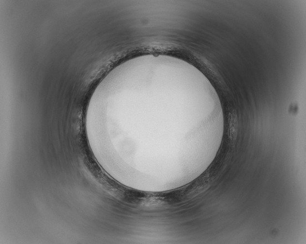 X0000113130451200910021420