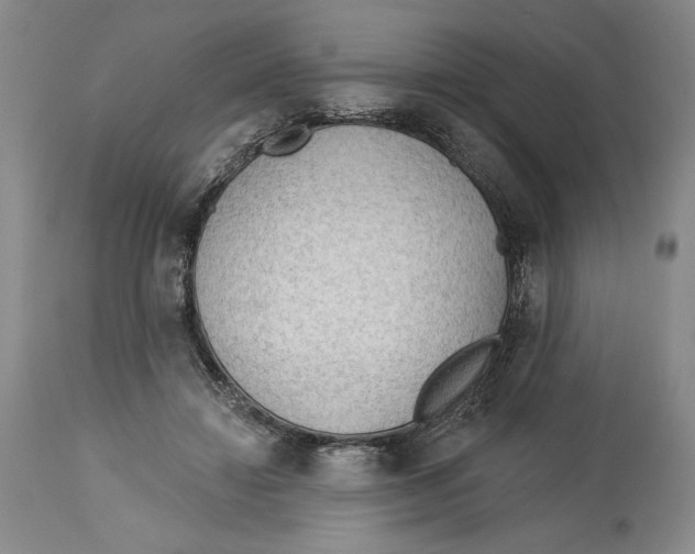 X0000113130452200910021420