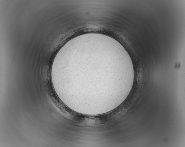 X0000113130455200910021420