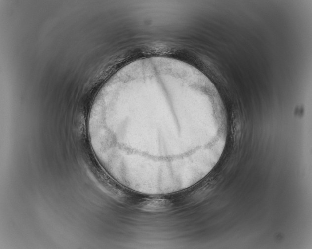 X0000113130459200910021420