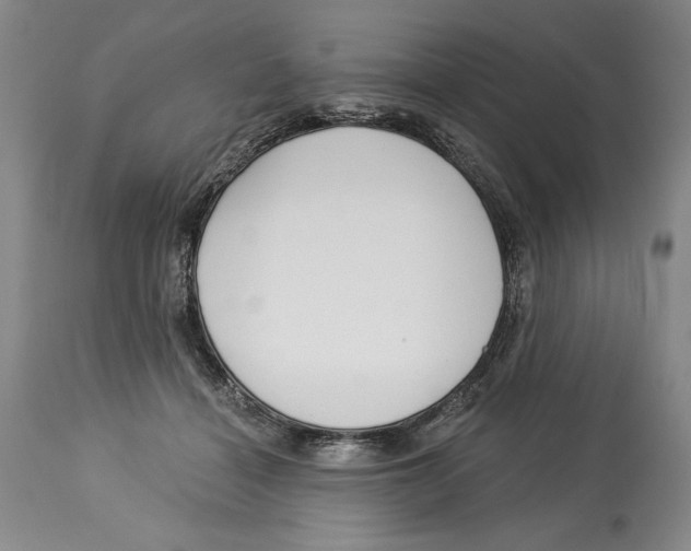 X0000113130460200910021420