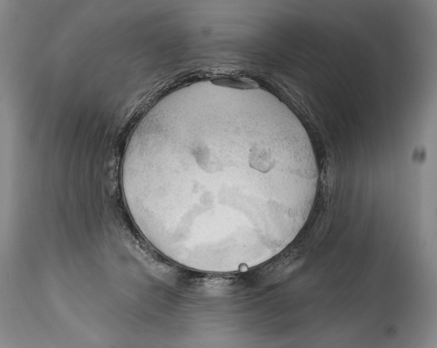 X0000113130462200910021420