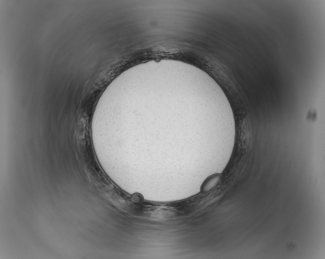 X0000113130463200910021420