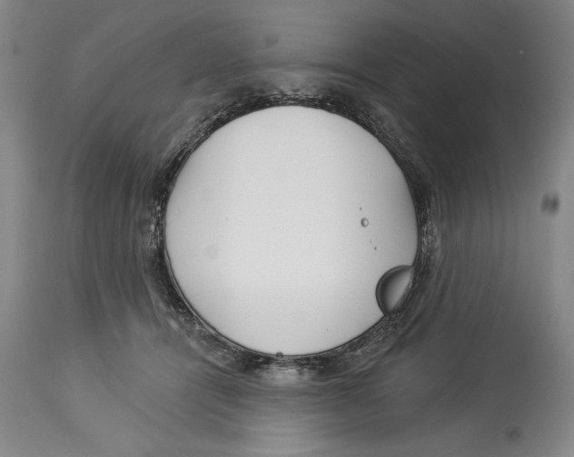 X0000113130464200910021420