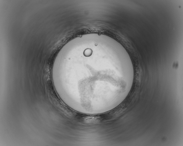 X0000113130465200910021420