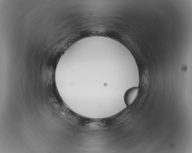 X0000113130468200910021420