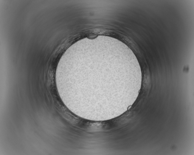 X0000113130473200910021420