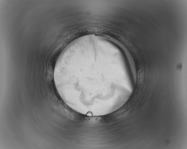 X0000113130474200910021420