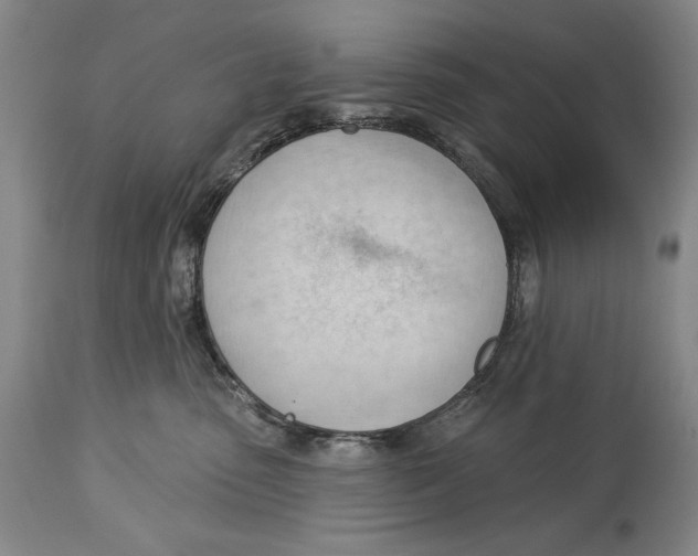 X0000113130475200910021420