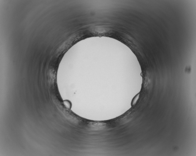 X0000113130476200910021420