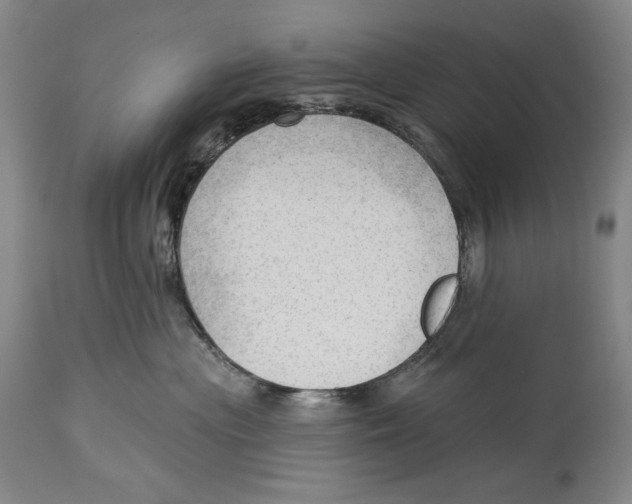 X0000113130477200910021420