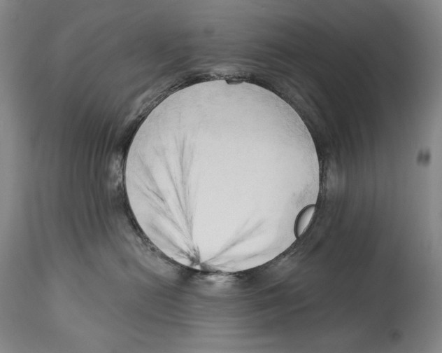 X0000113130478200910021420