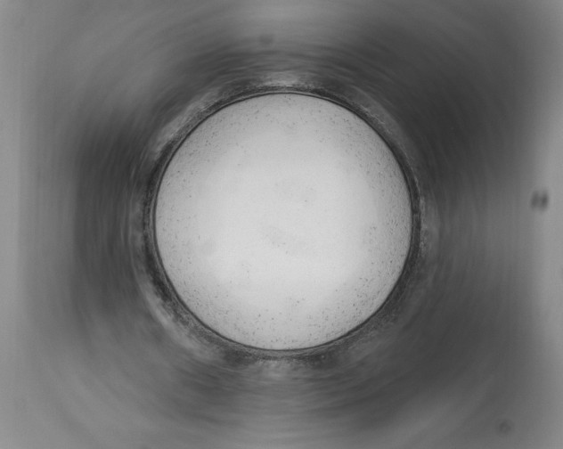 X0000113130482200910021419