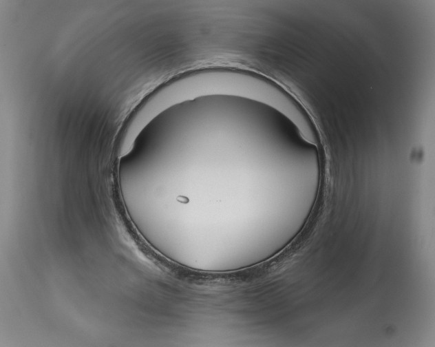 X0000113130485200910021419