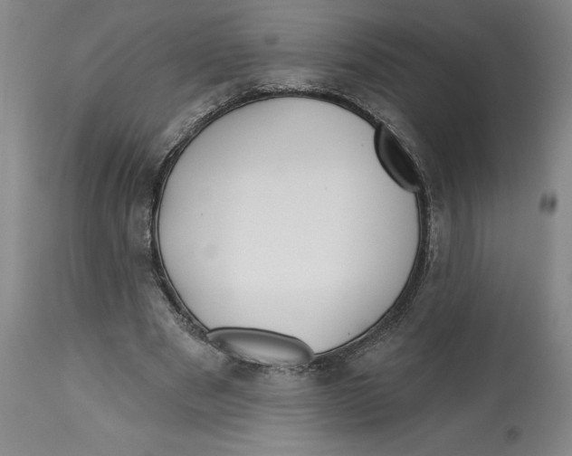 X0000113130489200910021419