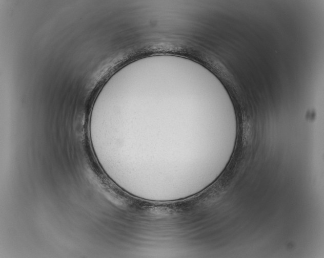 X0000113130490200910021419