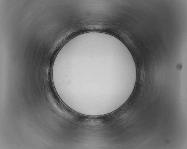 X0000113130491200910021419