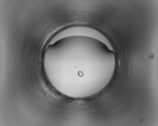 X0000113130492200910021419