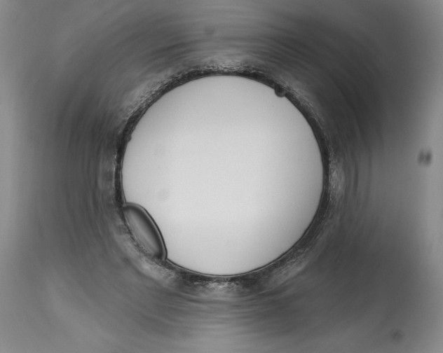 X0000113130493200910021419