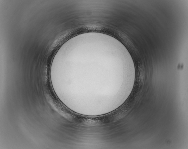 X0000113130494200910021419