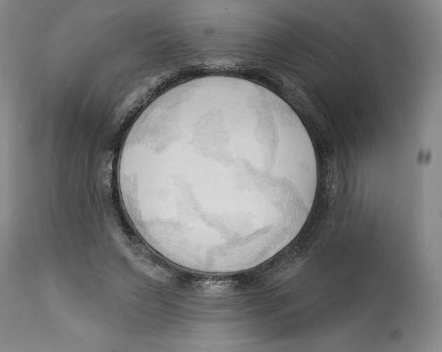 X0000113130495200910021419