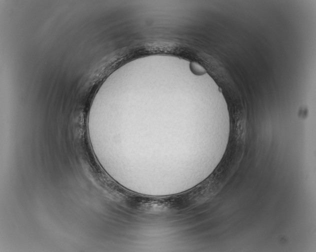 X0000113130498200910021419