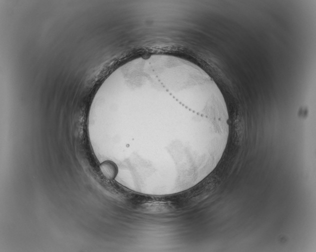 X0000113130499200910021419