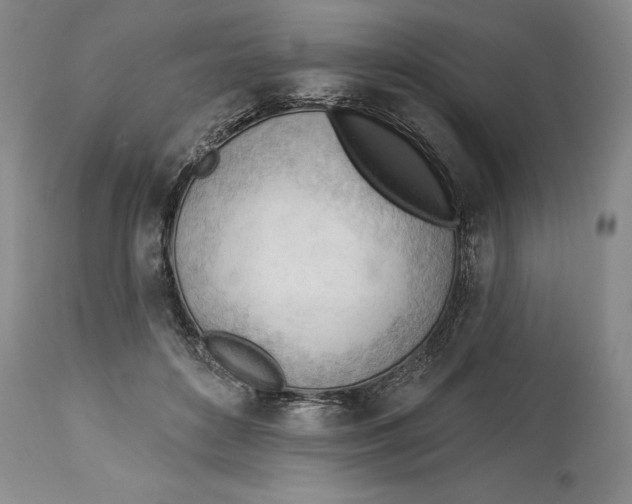 X0000113130504200910021419