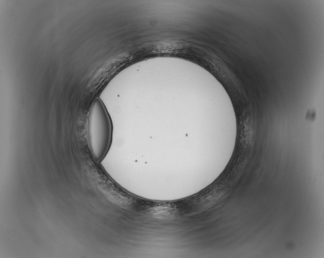 X0000113130505200910021419