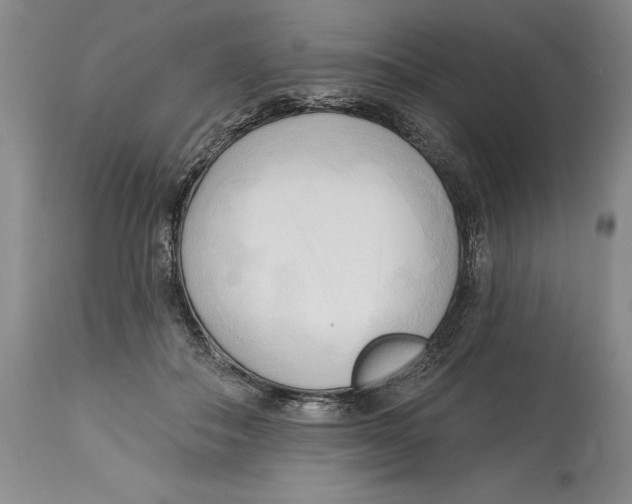 X0000113130506200910021419