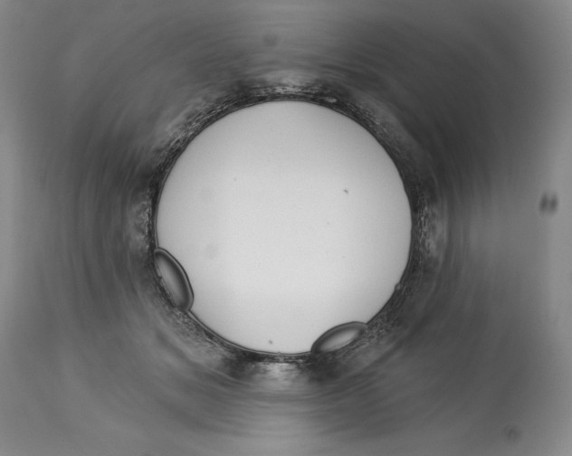 X0000113130509200910021419