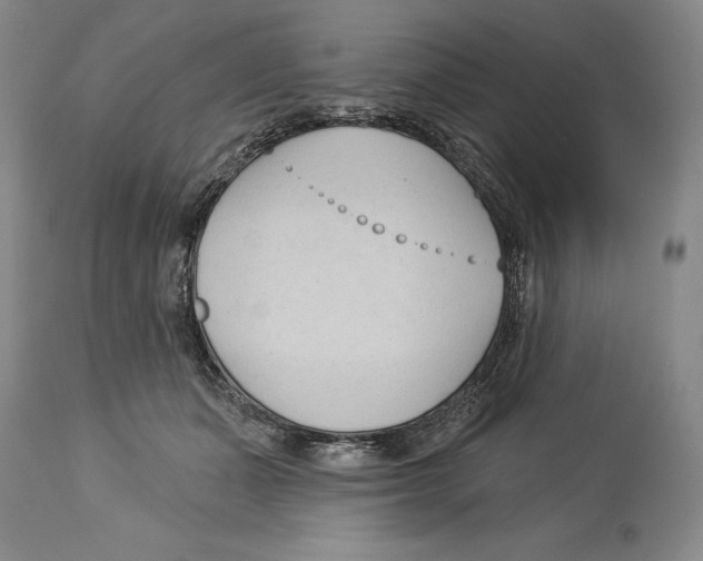 X0000113130511200910021419