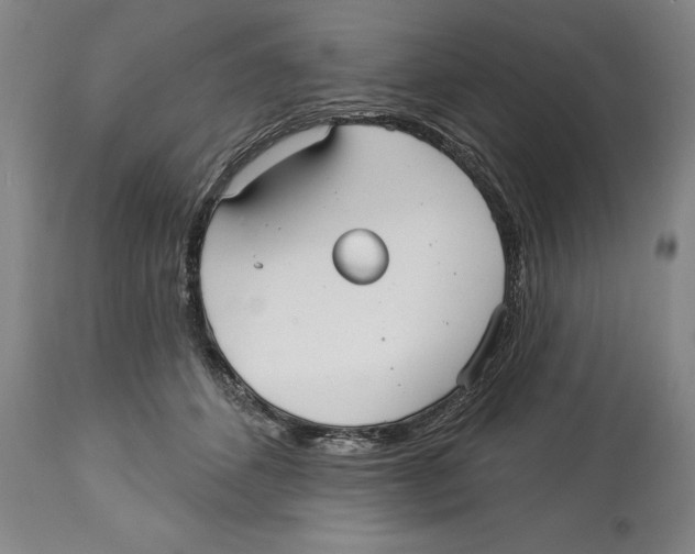 X0000113130512200910021419